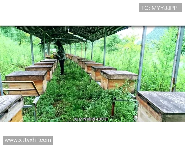 重庆网球队荣登全国网球技术排行榜第一名引发热议